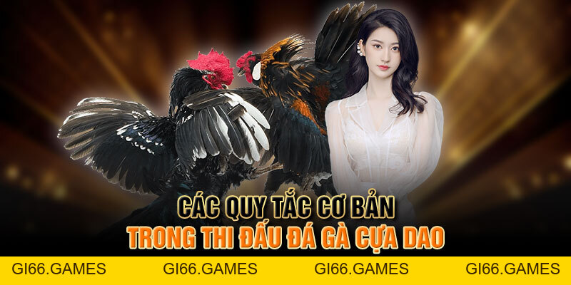 Trải Nghiệm đá Gà Mỹ Cựa Dao đầy Kịch Tính Và Hấp Dẫn