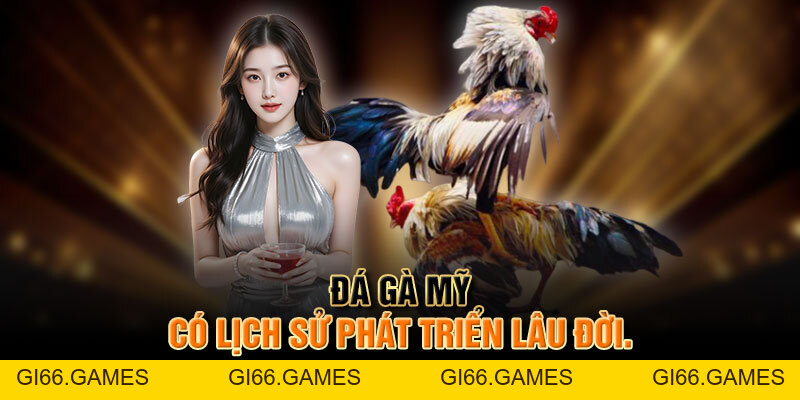 Trải Nghiệm đá Gà Mỹ Cựa Dao đầy Kịch Tính Và Hấp Dẫn