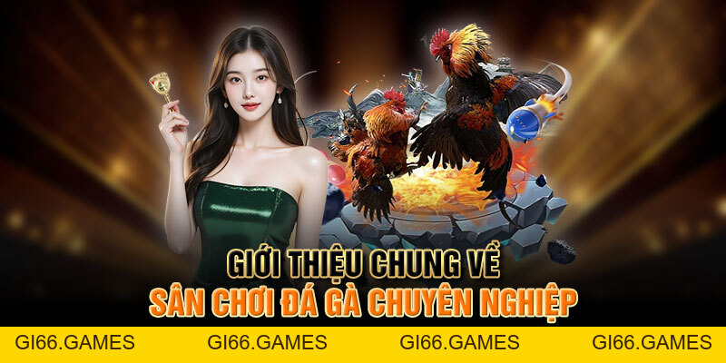 Đá Gà F168 - Khung Bậc Giải Trí Hấp Dẫn Bậc Nhất