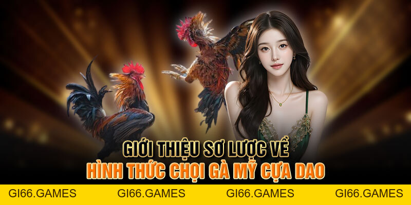 Trải Nghiệm đá Gà Mỹ Cựa Dao đầy Kịch Tính Và Hấp Dẫn