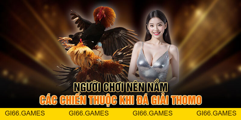 Tất Tần Tật Về đá Giải Thomo Hấp Dẫn Cho Người Chơi Mới