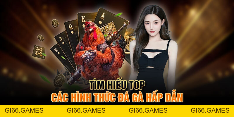 Đá Gà F168 - Khung Bậc Giải Trí Hấp Dẫn Bậc Nhất