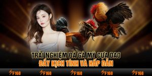 Đá Gà F168 - Khung Bậc Giải Trí Hấp Dẫn Bậc Nhất