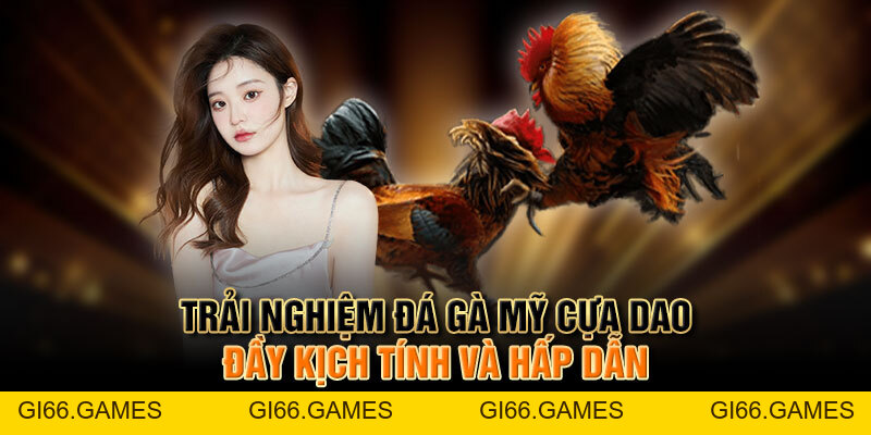 Trải Nghiệm đá Gà Mỹ Cựa Dao đầy Kịch Tính Và Hấp Dẫn